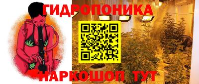 Альфа ПВП Гусев
