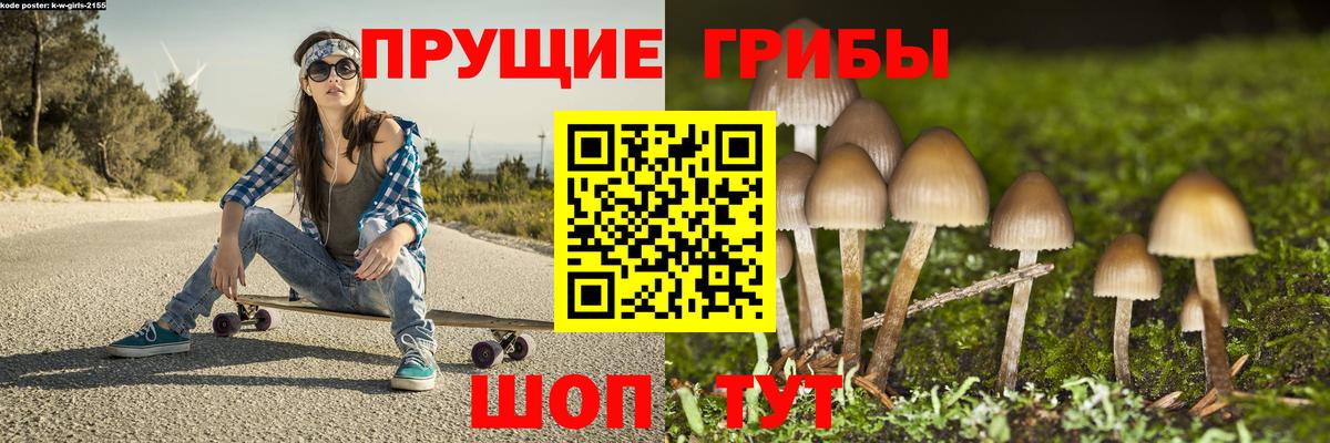 Нерюнгри  Псилоцибиновые грибы Magic Shrooms  Вход с VPN  Галлюциногенные грибы MAGIC MUSHROOMS 